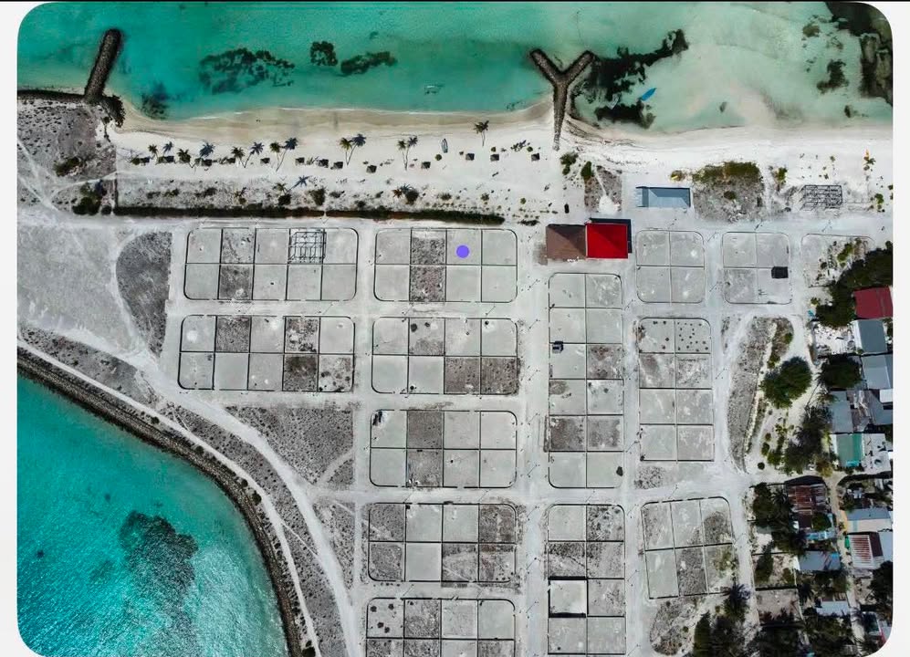 🌴 INVESTMENT OPPORTUNITY – K. GURAIDHOO 🌴 WhatsApp: 7409119